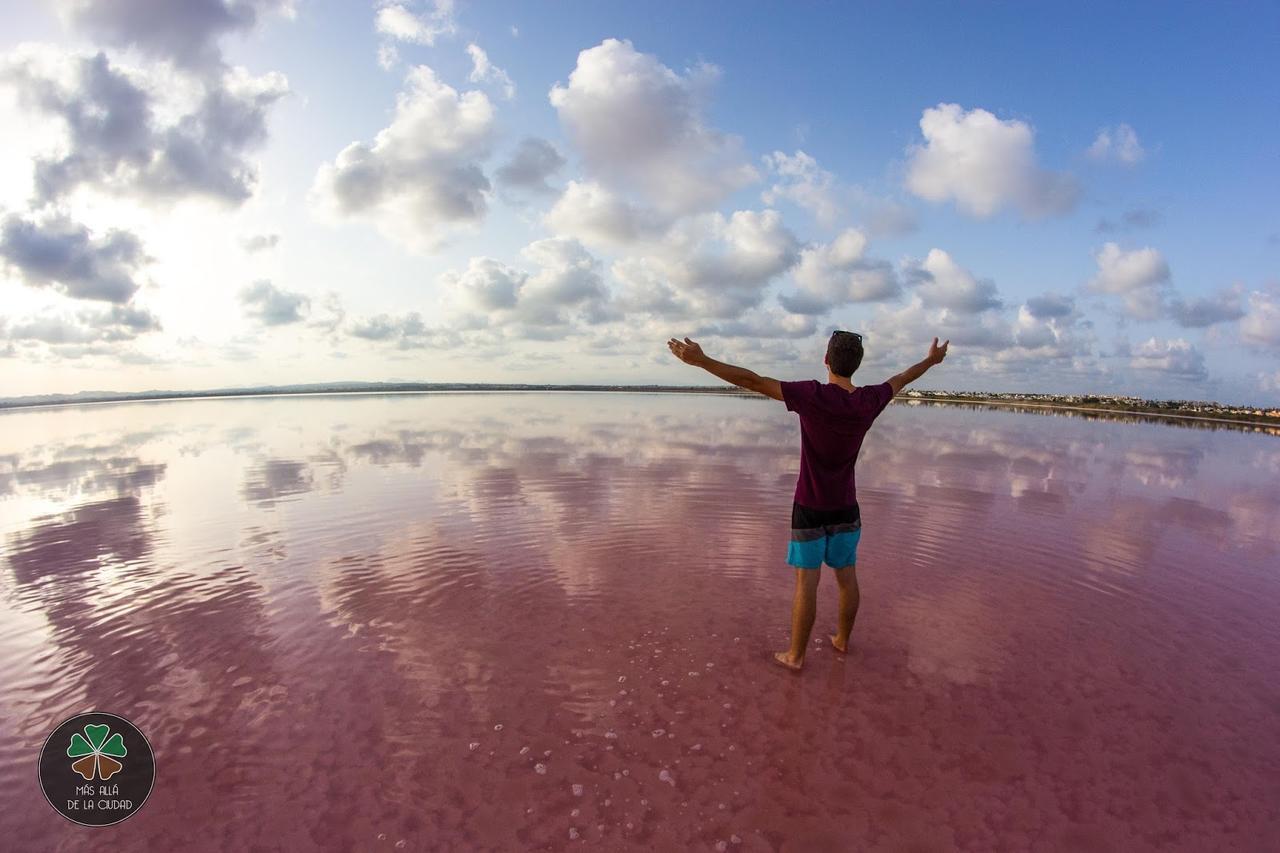 Una Ventana Al Mar ตอร์เรเวียคา ภายนอก รูปภาพ